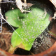 Image for article titled Refraction Shooting Challenge Gallery 2